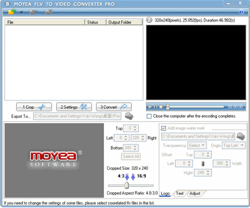 flv main interface